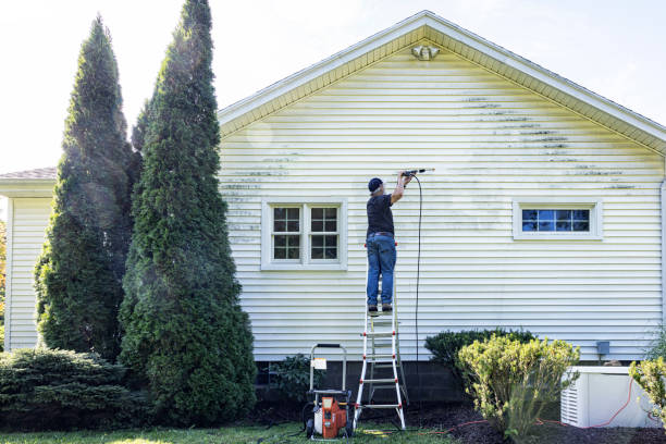 Best Driveway Pressure Washing  in Columbiana, AL